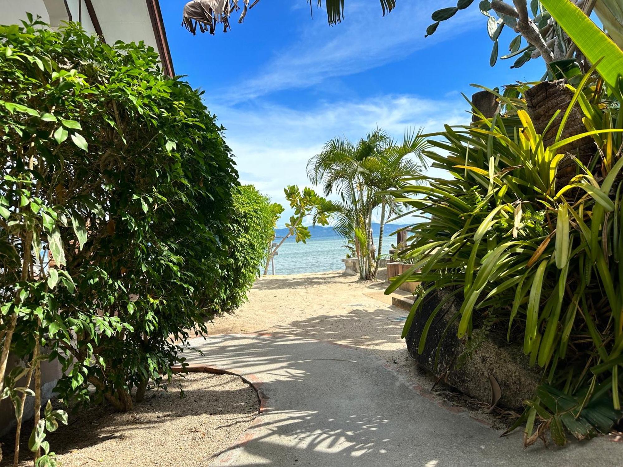 Phangan Lodge Baan Tai Eksteriør bilde