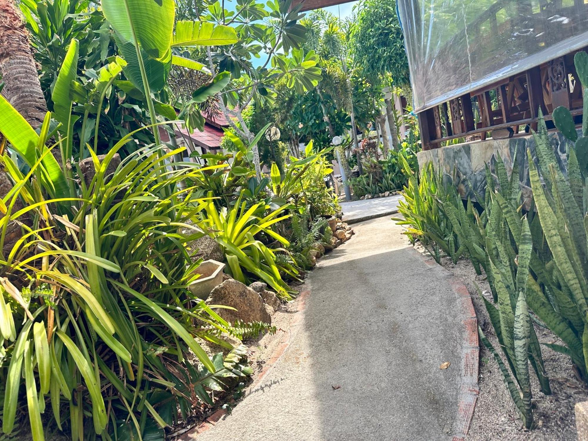 Phangan Lodge Baan Tai Eksteriør bilde